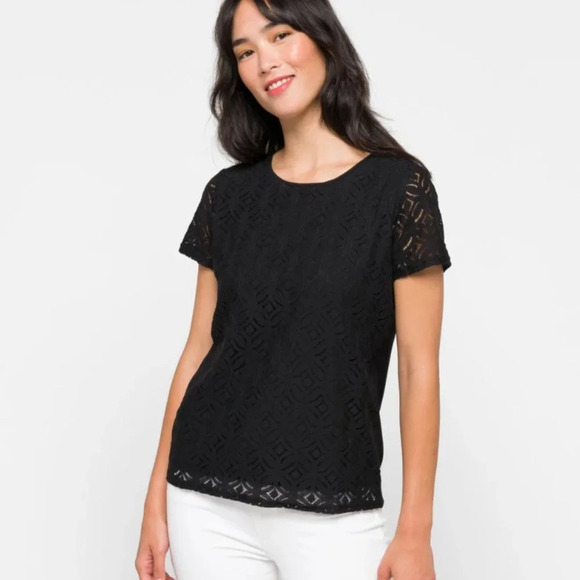 Black Market & Spruce Short Sleeve Lace Top (Small) - Picture 2 of 5